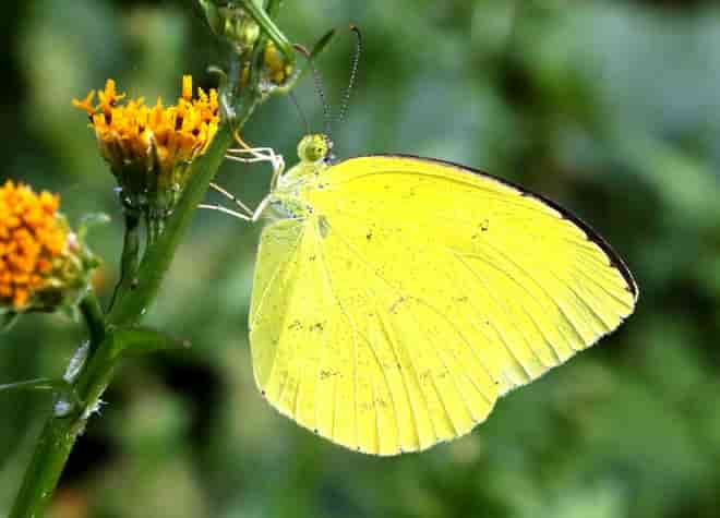 �L�^�L�`���E